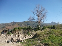 cantara Calatabiano18032012 012